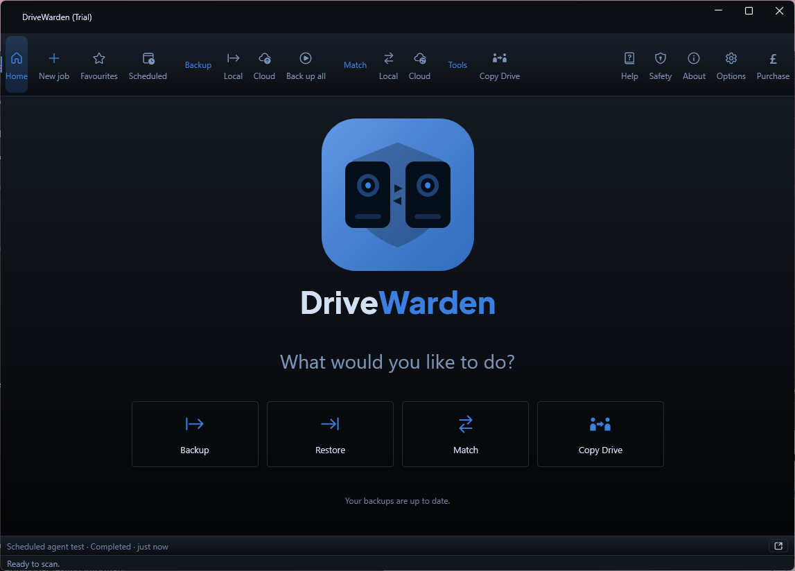 DriveWarden running on Windows